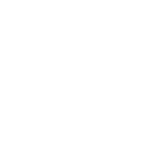 Head-Start Web Development